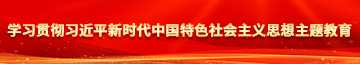 黑屌黄色视频网站学习贯彻习近平新时代中国特色社会主义思想主题教育