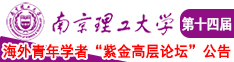 我想看操逼视频大全南京理工大学第十四届海外青年学者紫金论坛诚邀海内外英才！